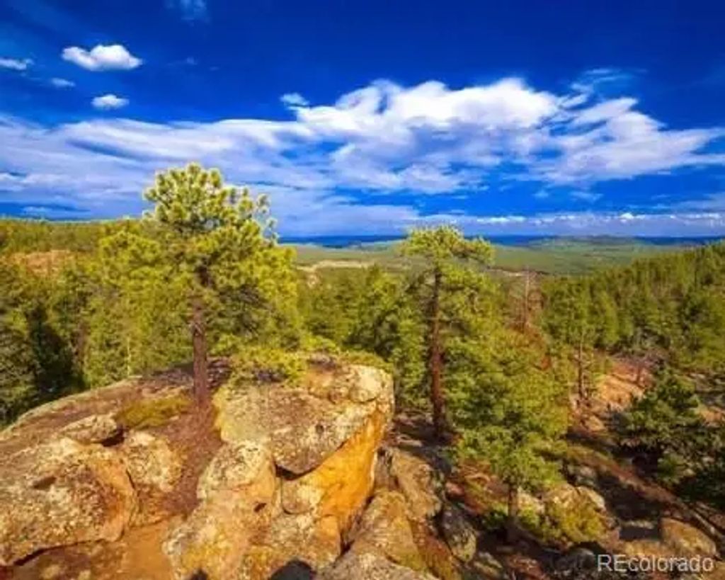 Tallberg Lane, Conifer