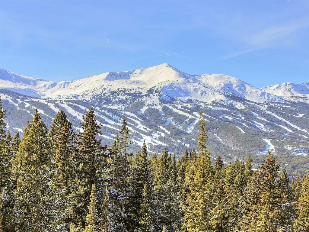 3362 Boreas Pass Road, Breckenridge