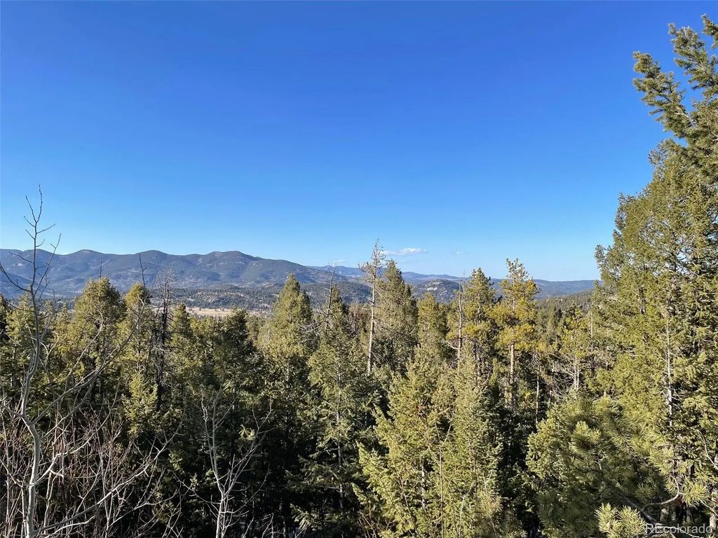 33131 Lynx Lane, Evergreen