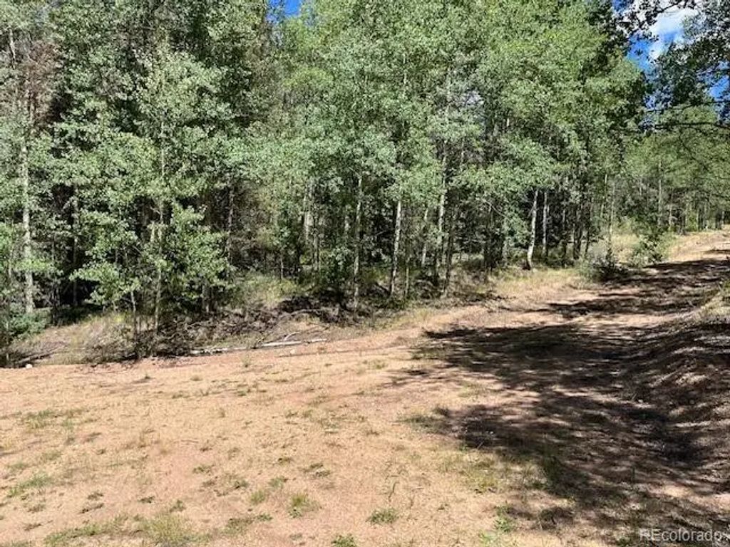 Lot 5655 Highlander Road, Fort Garland