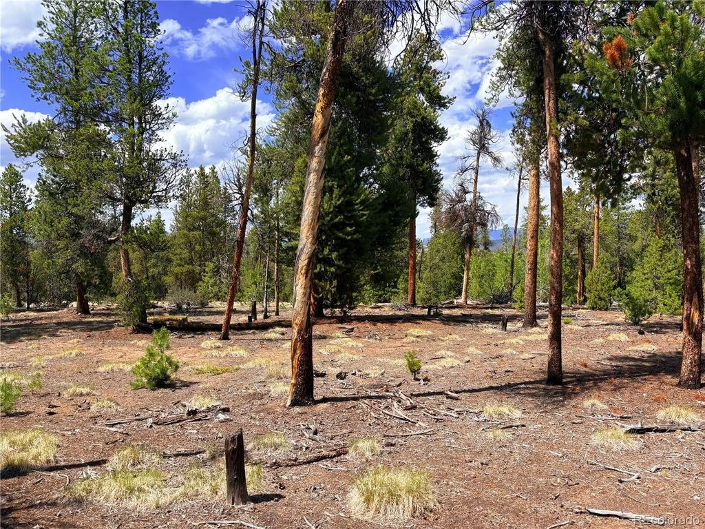 360 Lodgepole Drive, Leadville
