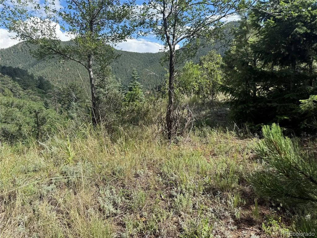 312 Upper Sun Valley Lane, Manitou Springs