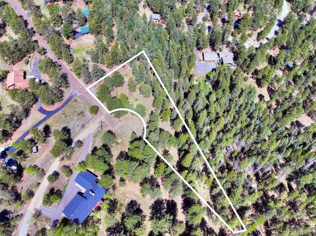 281 Kings, Evergreen