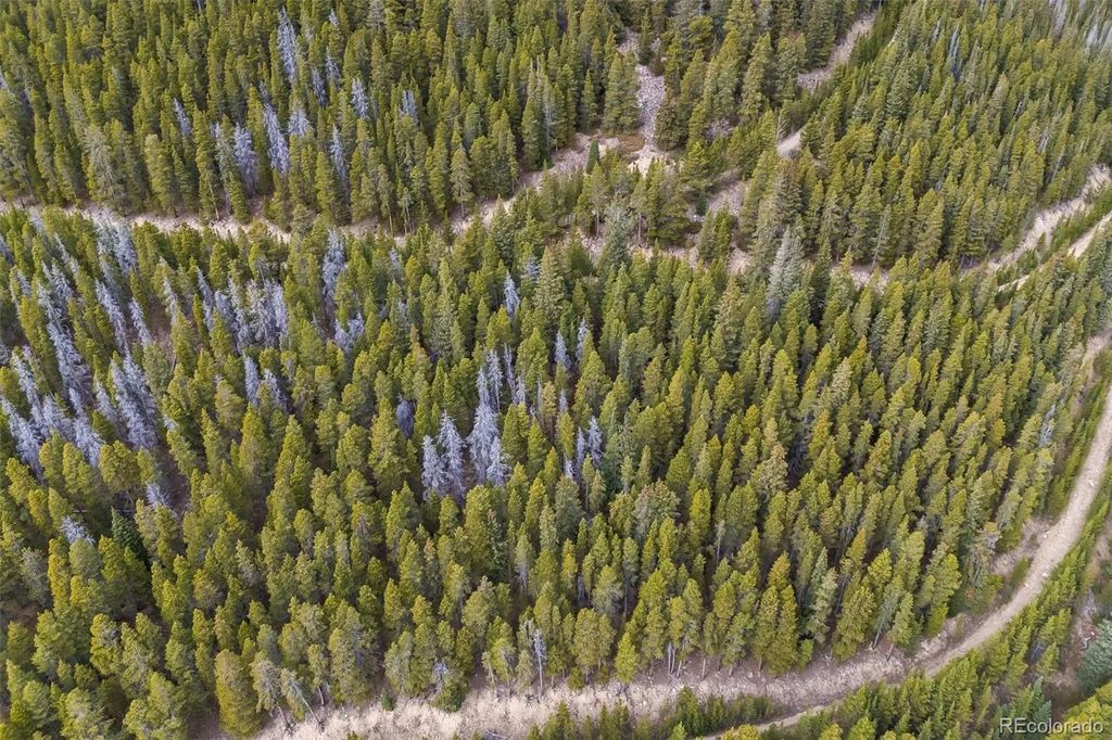 773 Harris Circle, Idaho Springs