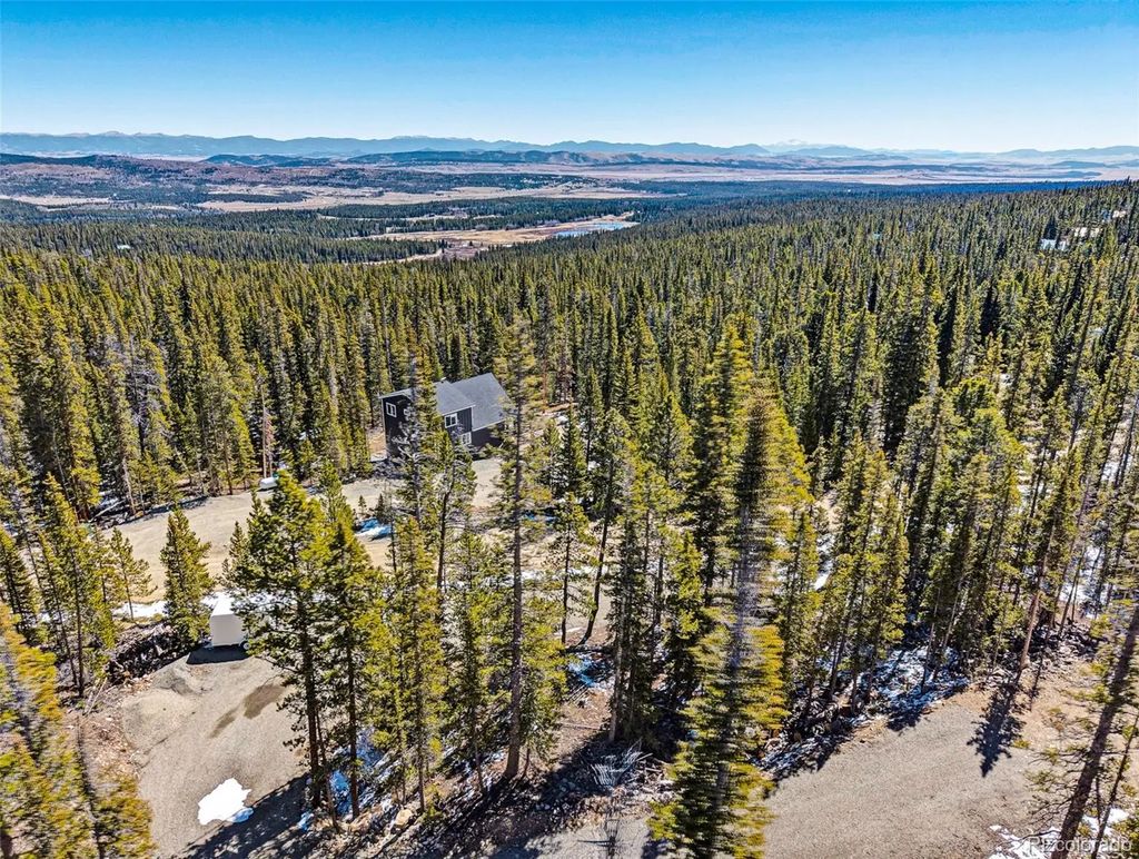 313 Porcupine Road, Fairplay