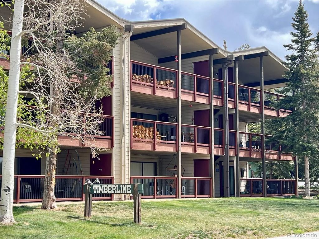 244 Lodgepole Street 15, Dillon