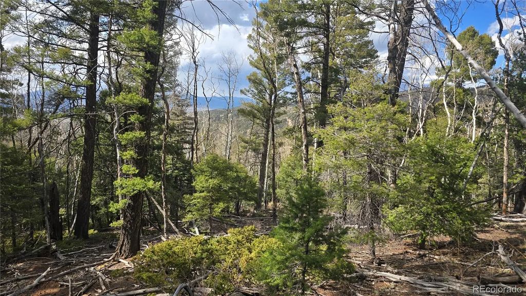 Lot 5261 Scott Road, Fort Garland