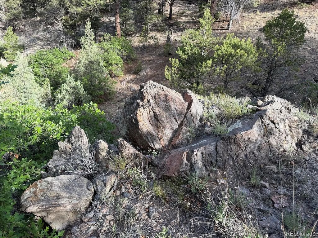 594 Maurice Drive, Cotopaxi