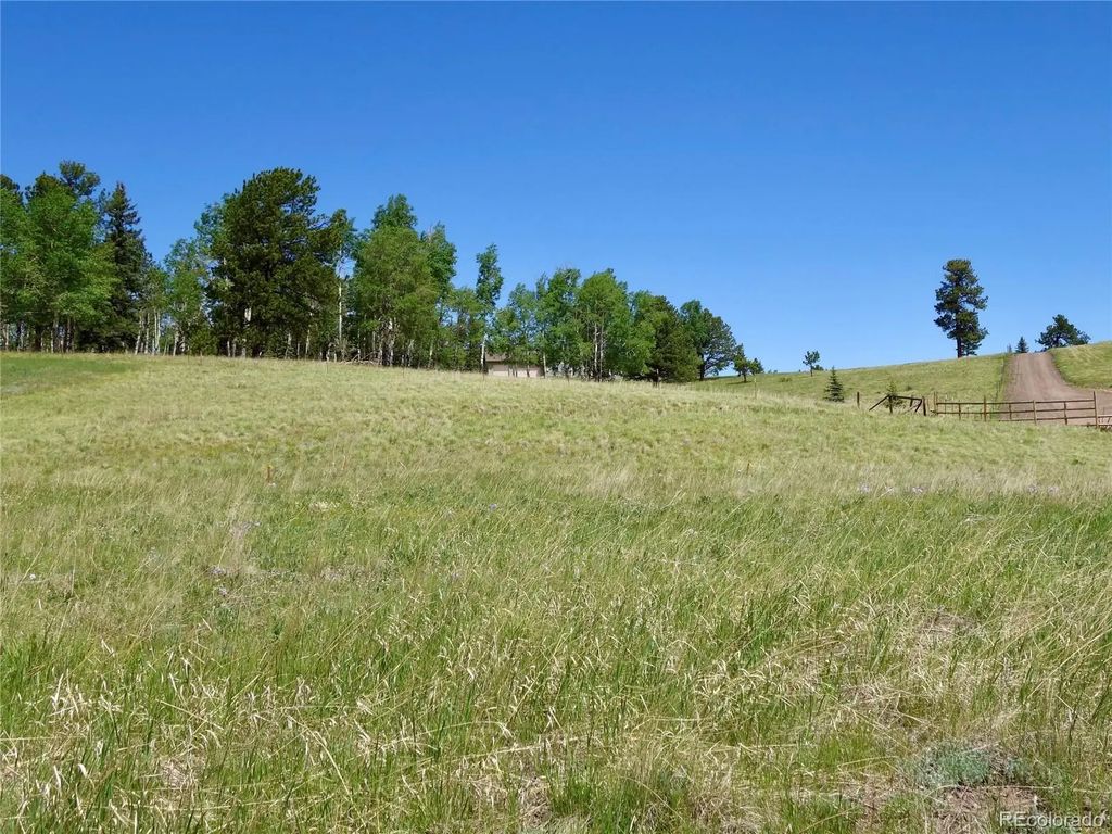 307 Pinaceae Heights, Divide
