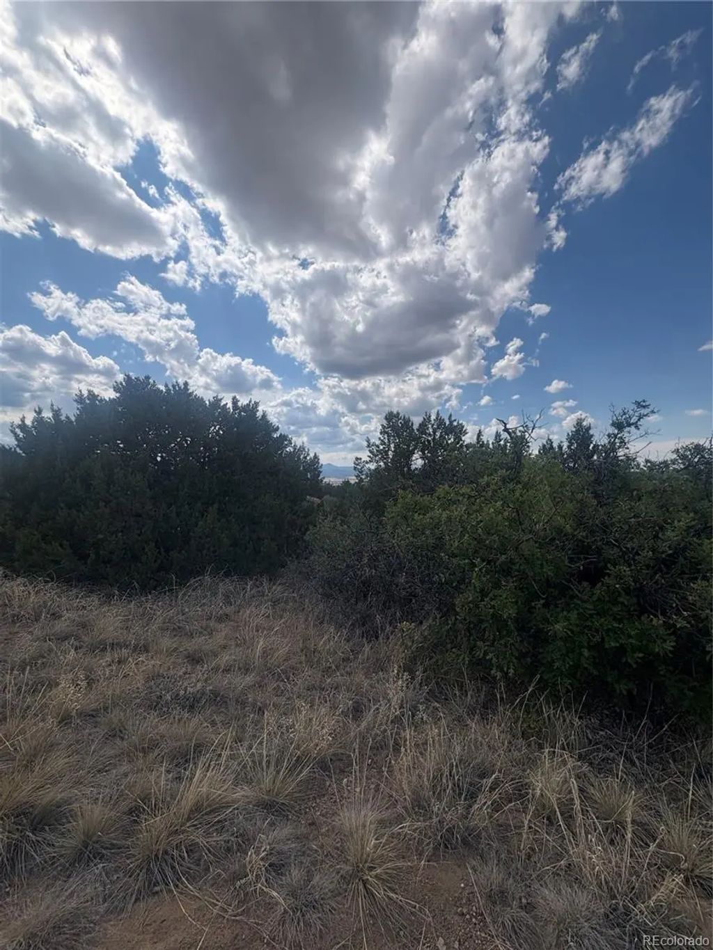 Lot 558 Mount Shavano, Colorado City