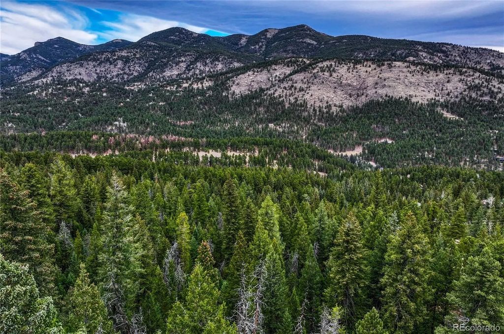 33864 Bergen View Trail, Evergreen