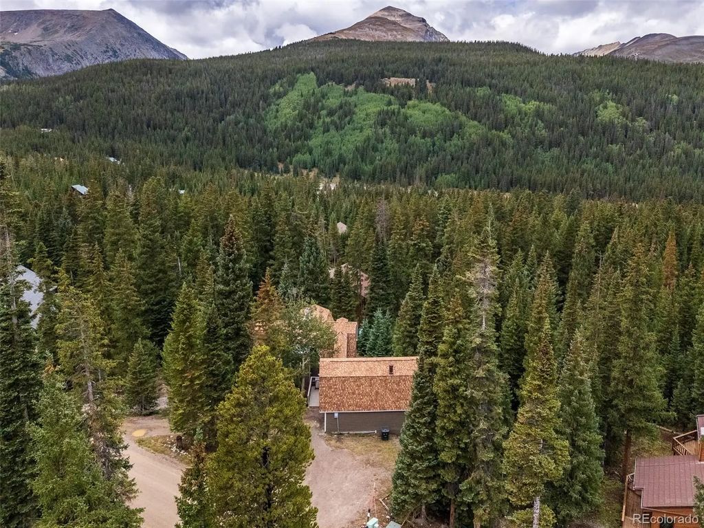 291 Doris Drive, Breckenridge