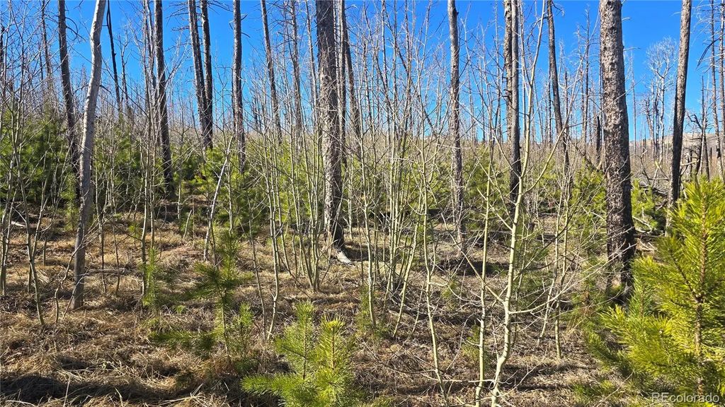 Lot 1470 Von Heyl Lane, Fort Garland