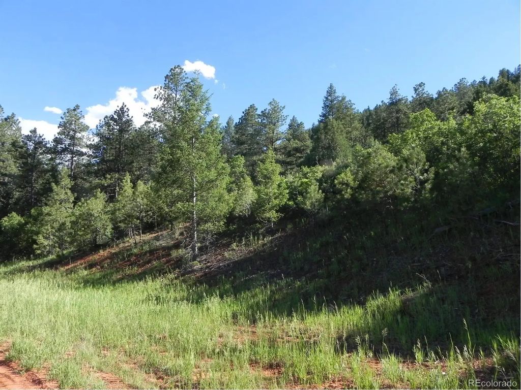 8117 Acoma Drive, Larkspur