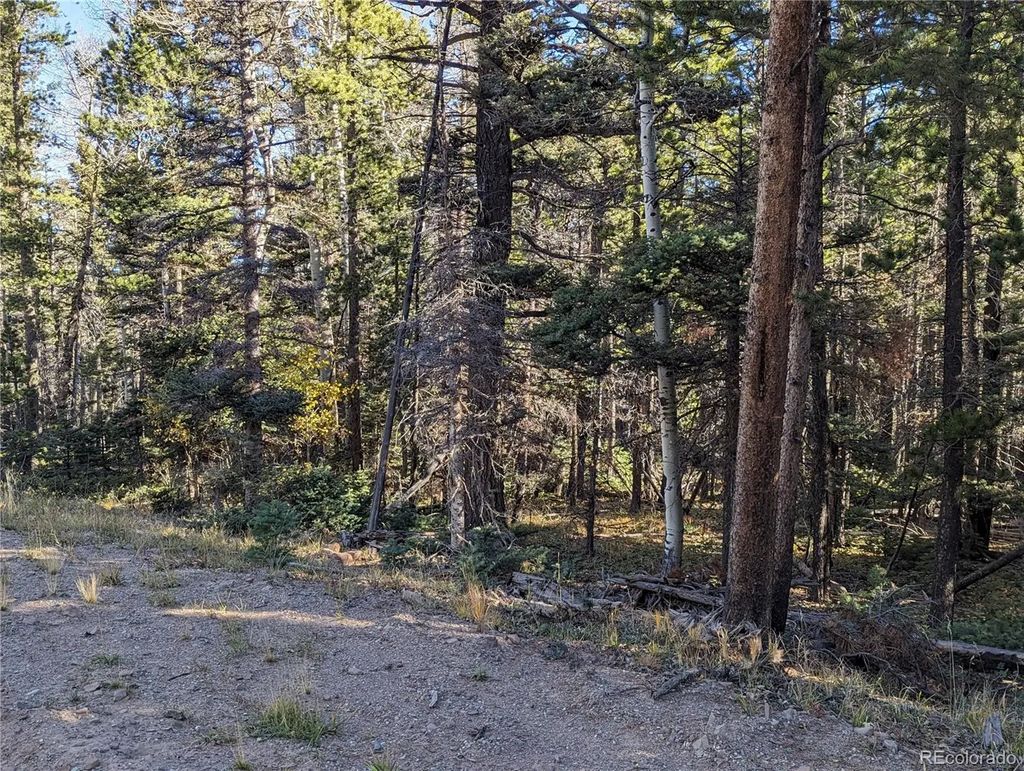 3067 Forbes Park Loop, Fort Garland