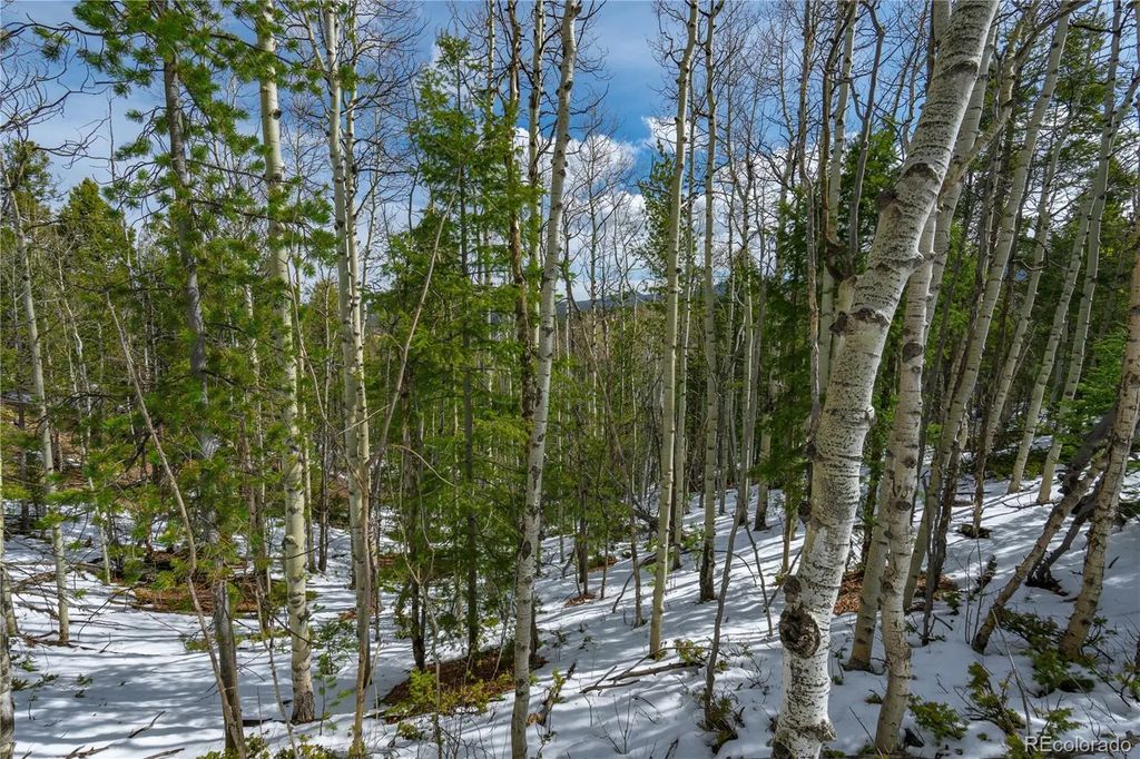 224 Deadwood Road, Cripple Creek