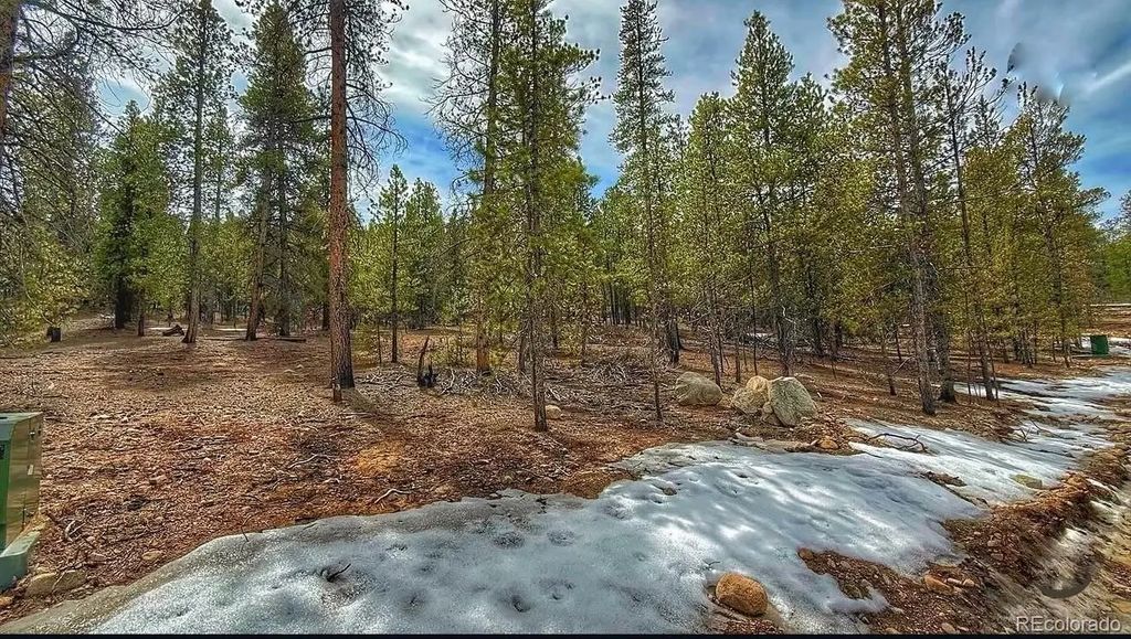 48 Mount Massive Road, Twin Lakes