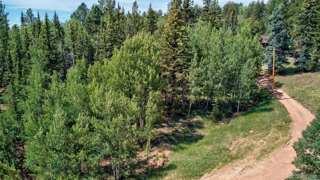 158 Rattler Court, Cripple Creek