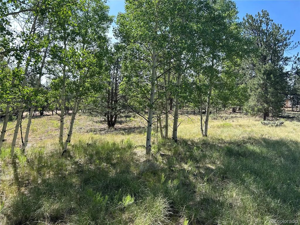 519 Hayhook Way, Hartsel