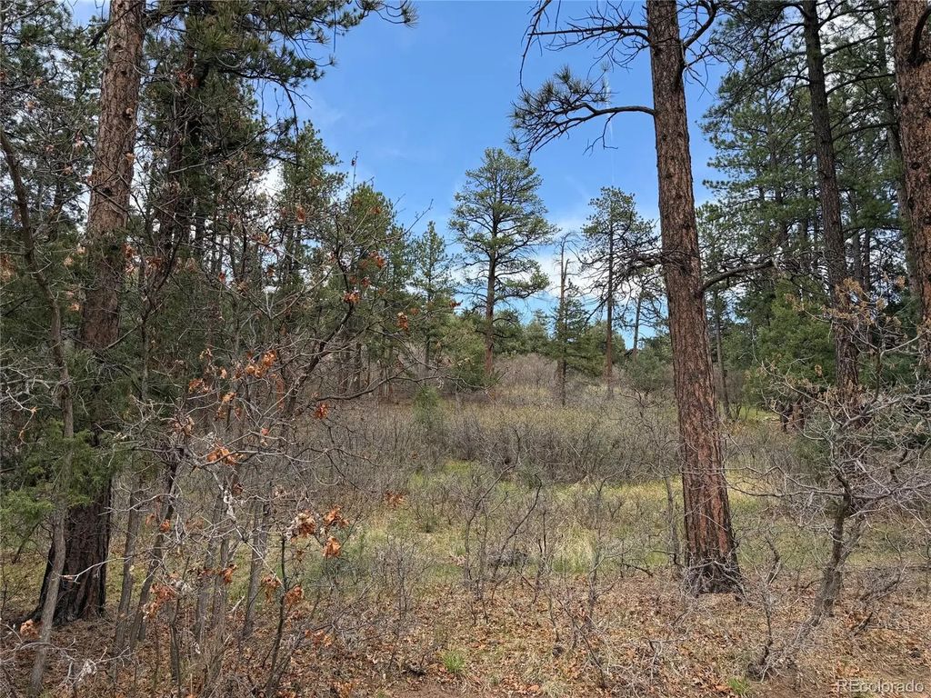 4885 Red Rock Drive, Larkspur