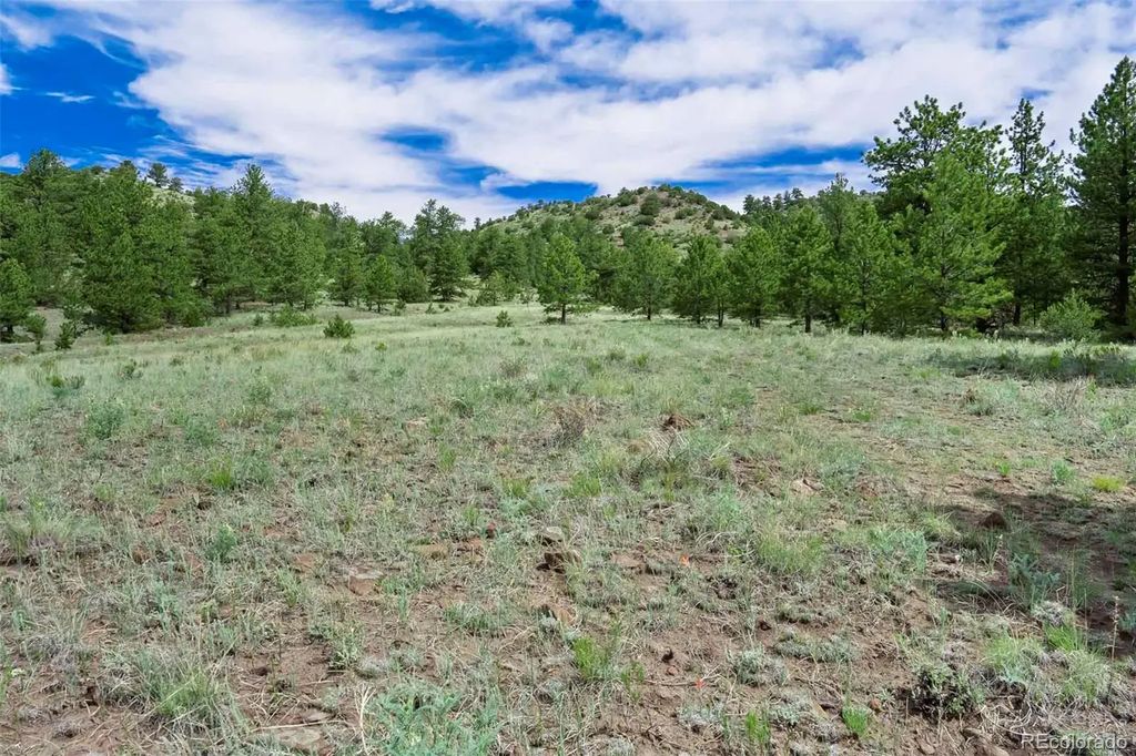 Tract 8 County Road 102, Guffey