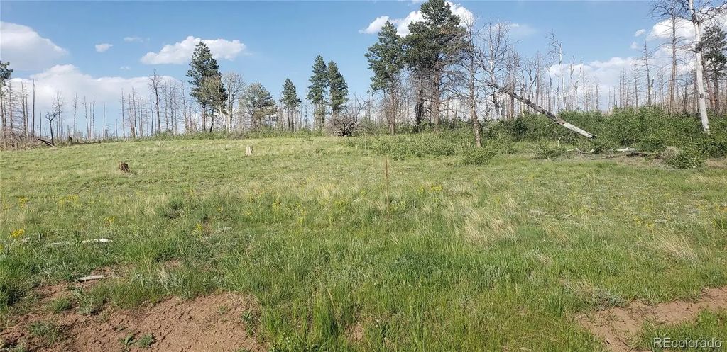 Lot 1406 Emery Loop, Fort Garland