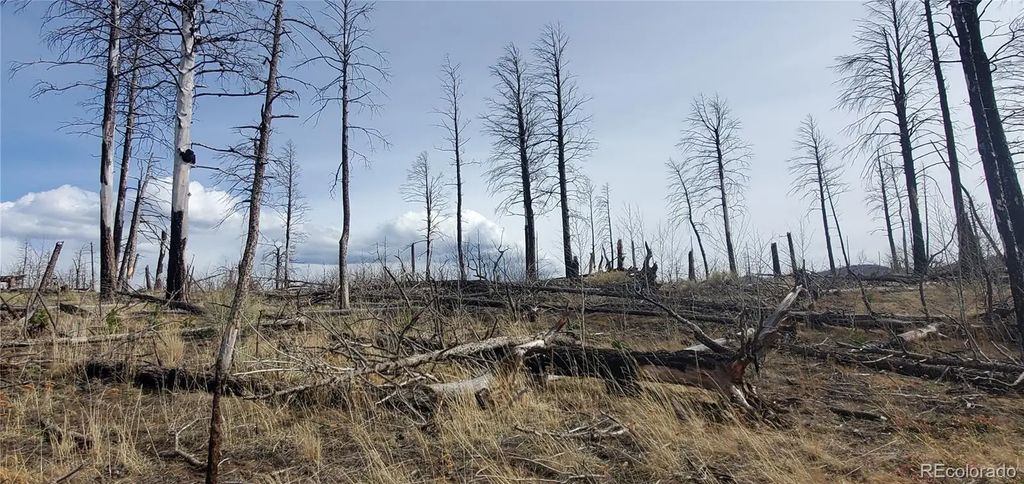 Lot 1223 Emery Loop, Fort Garland
