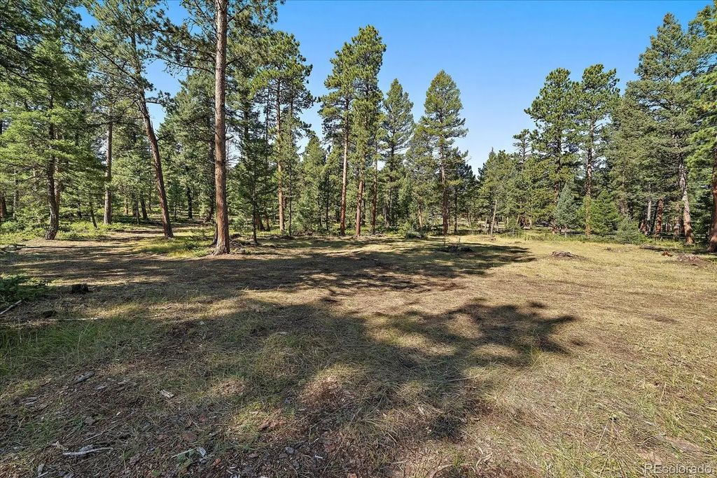 Evergreen Drive, Conifer