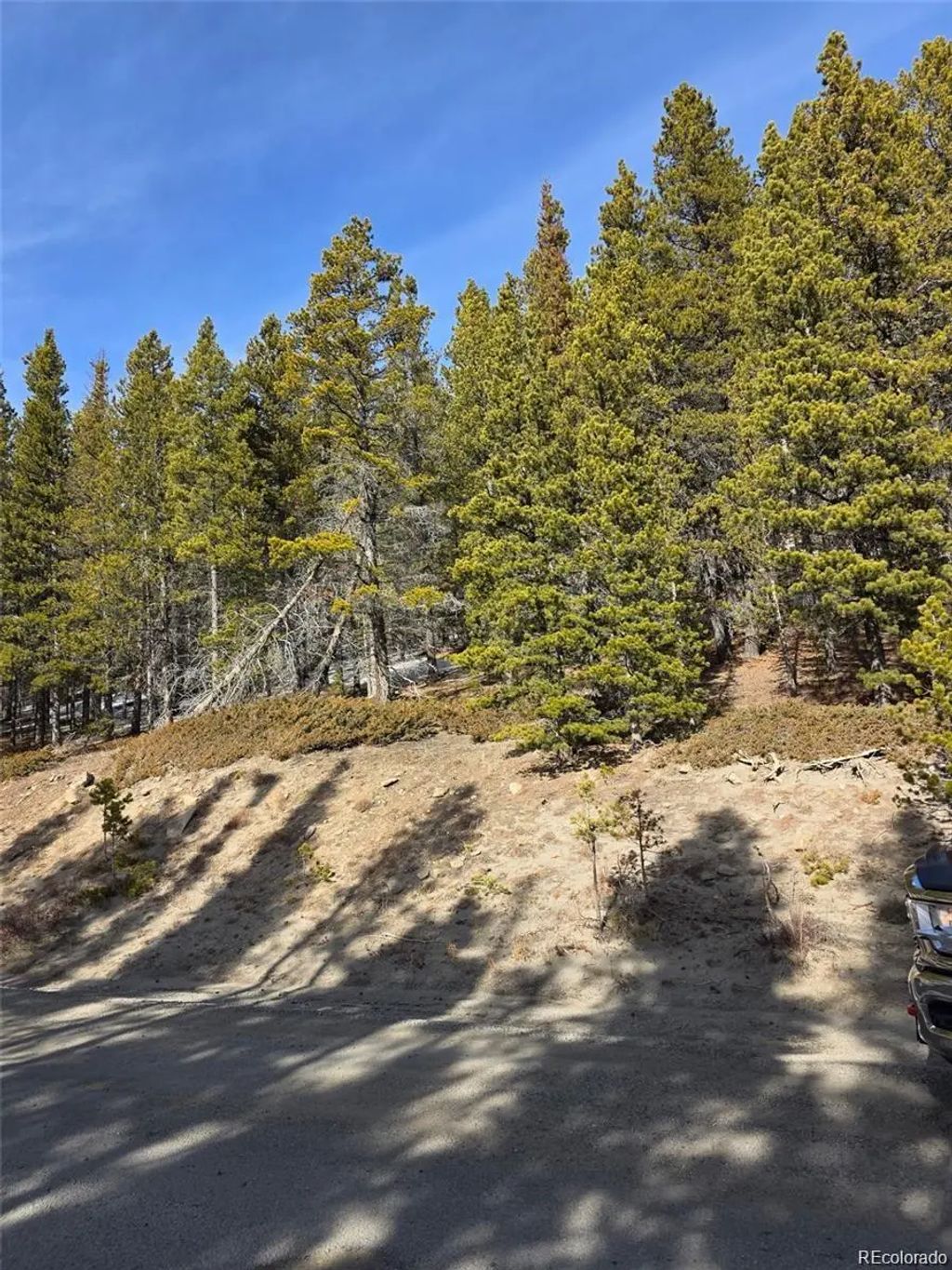 Lot 680 Alice Road, Idaho Springs