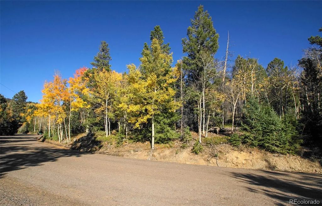 11637 Leavenworth Drive, Conifer