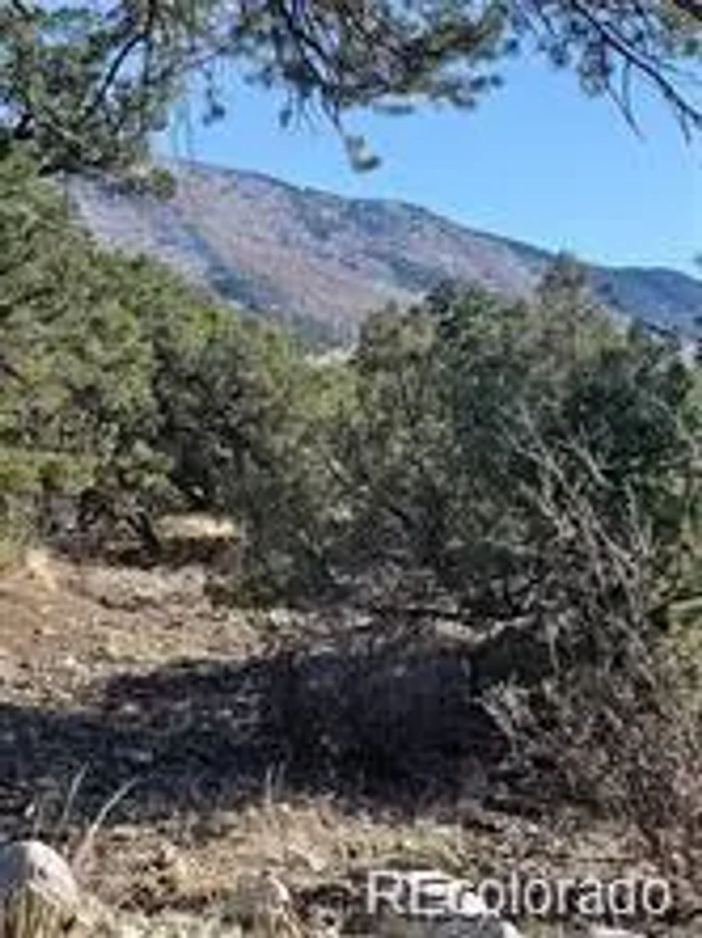 148 Lake Of The Falls Parkway, Mosca