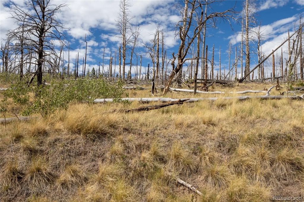 Lot 2748 Grojean Drive, Fort Garland
