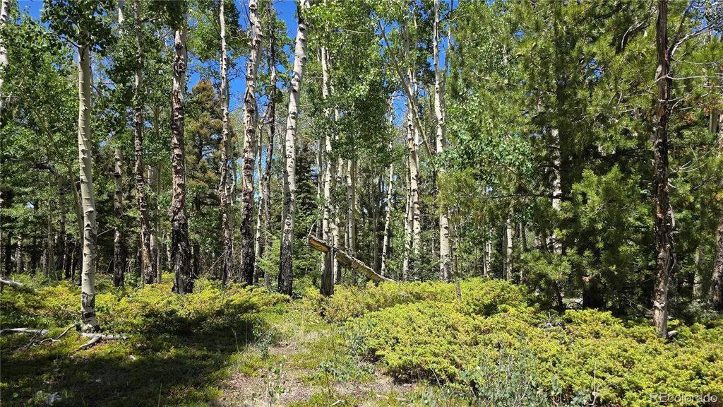 Lot 6748 Starkweather Road, San Luis