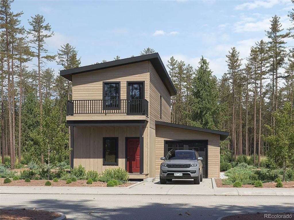 101 Timber Ranch Drive, Leadville