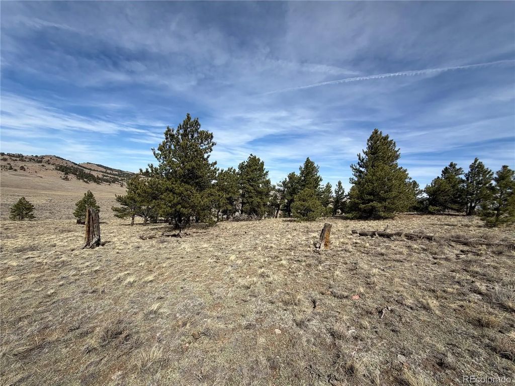 990 Coyotero Trail, Hartsel