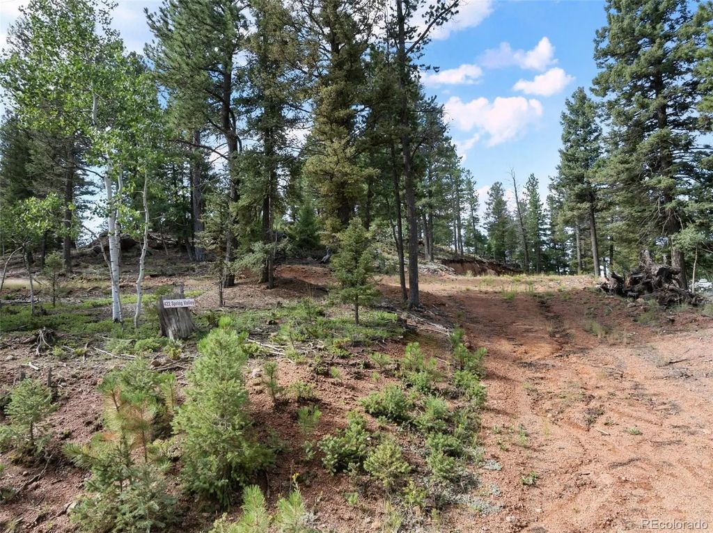 422 Spring Valley Drive, Divide