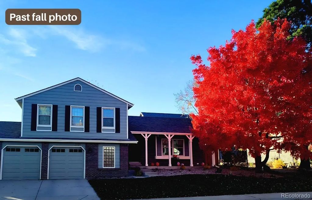 7025 Gladiola Street, Arvada