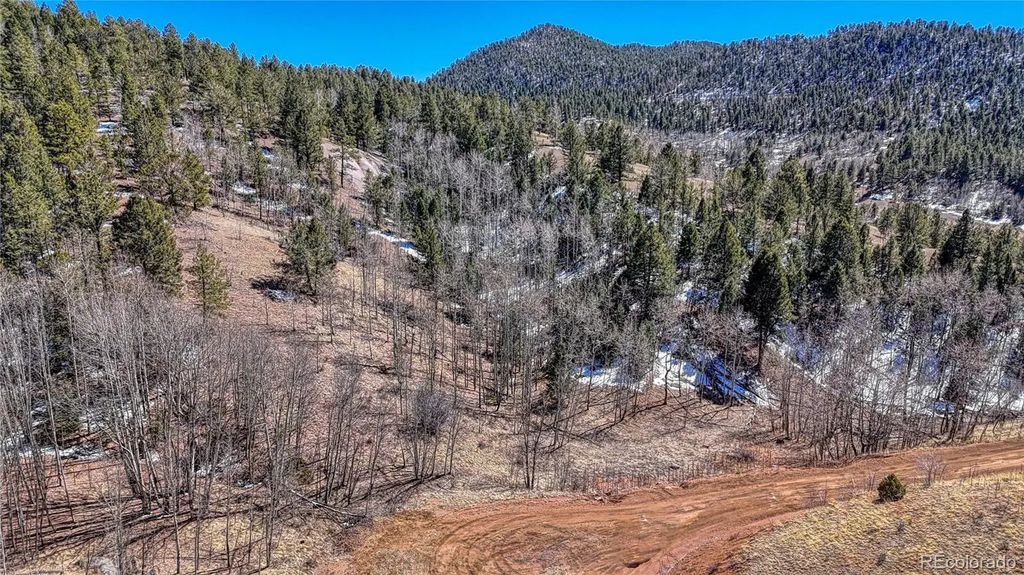 513 Last Dollar Drive, Cripple Creek