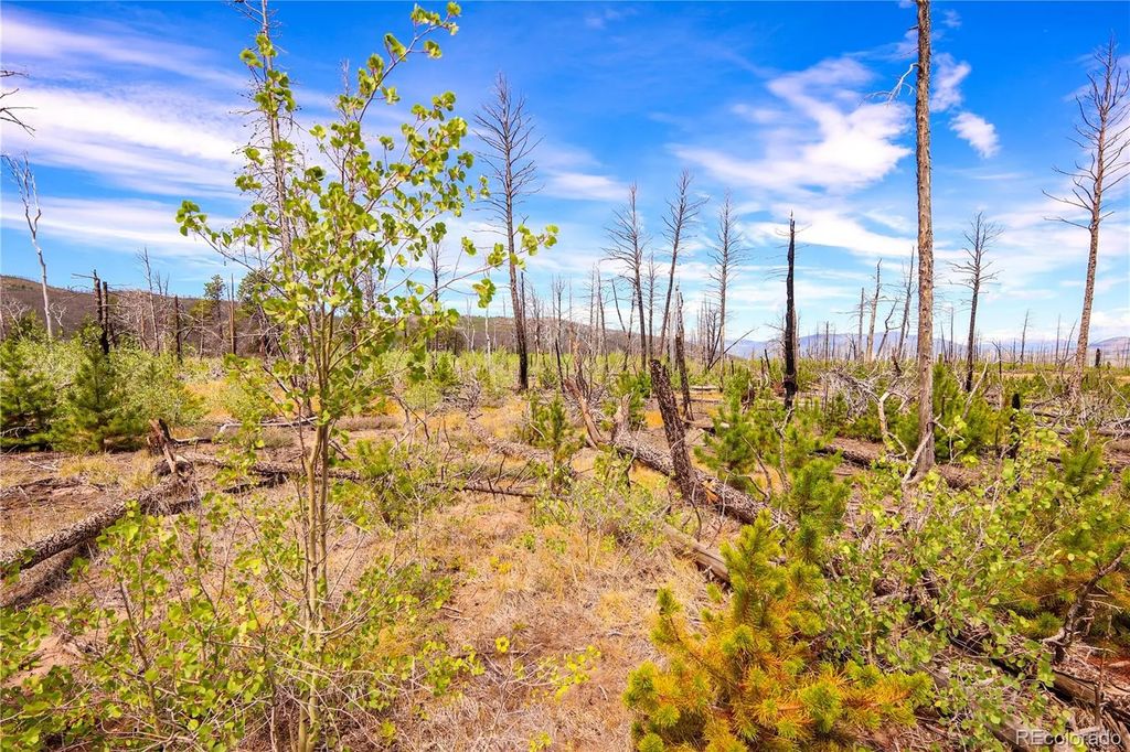 1386 Emery Loop, Fort Garland