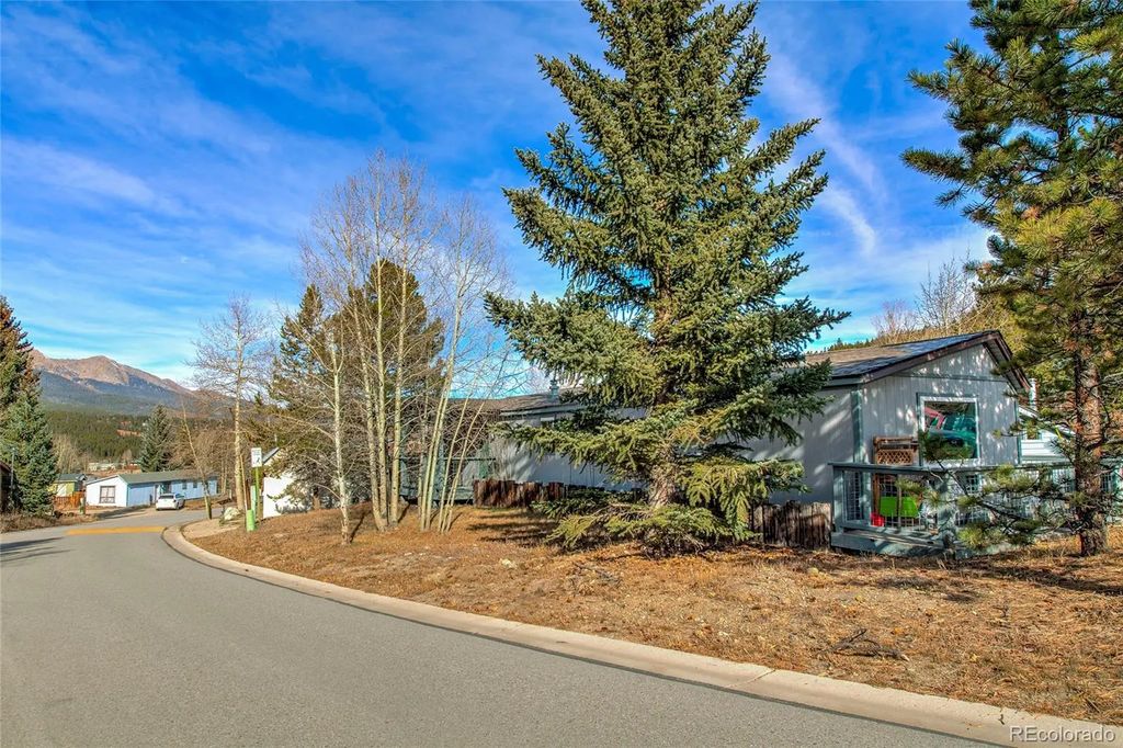 56 Magnum Bonum Drive, Breckenridge