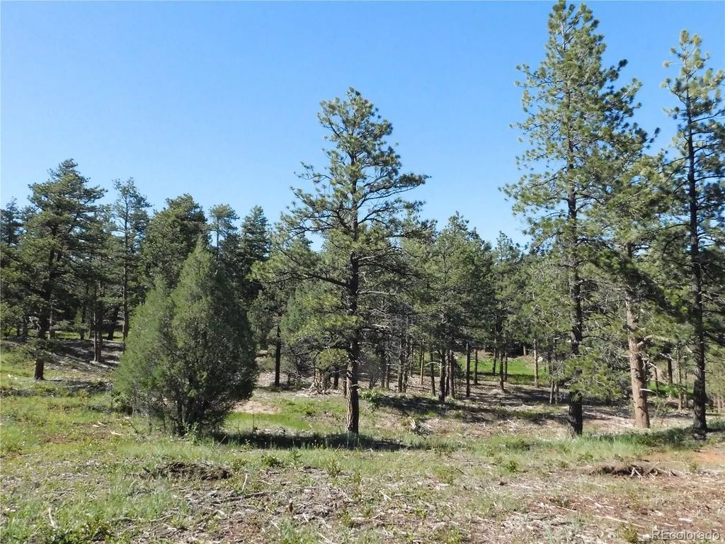 7514 Seminole Drive, Larkspur