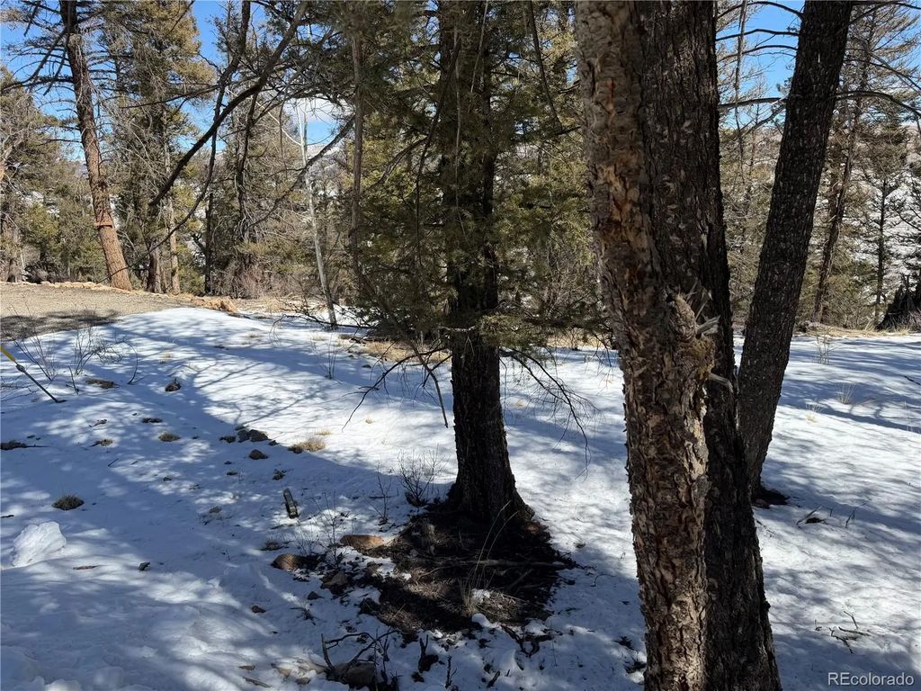 806 Middle Fork Vista, Fairplay