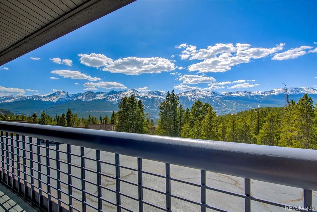 187 N Fuller Placer Road B, Breckenridge