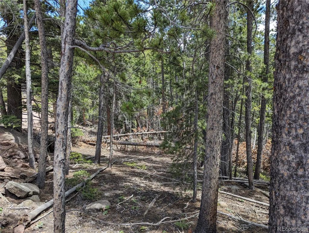 3159 Purnell Lane, Fort Garland