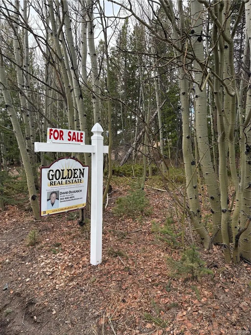 34251 Skyline Drive, Golden