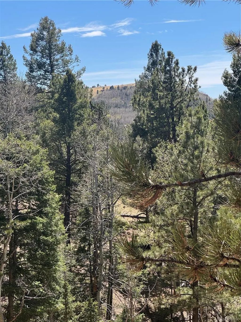 288 Troy Drive, Cripple Creek
