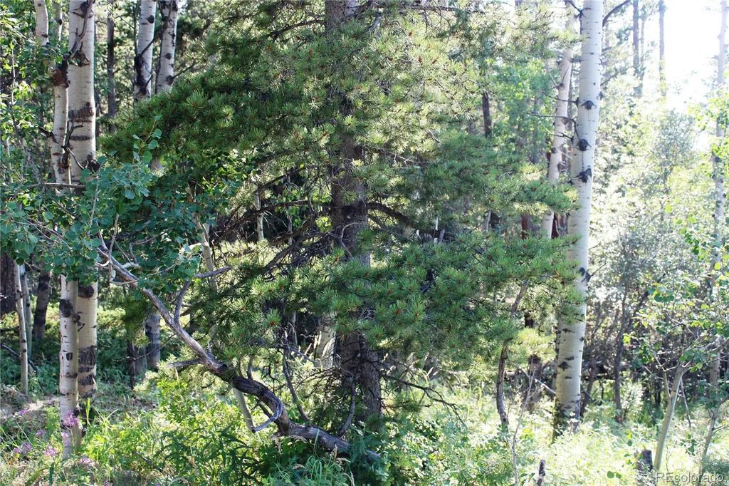 Lot 028 Sunflower Lane, Black Hawk