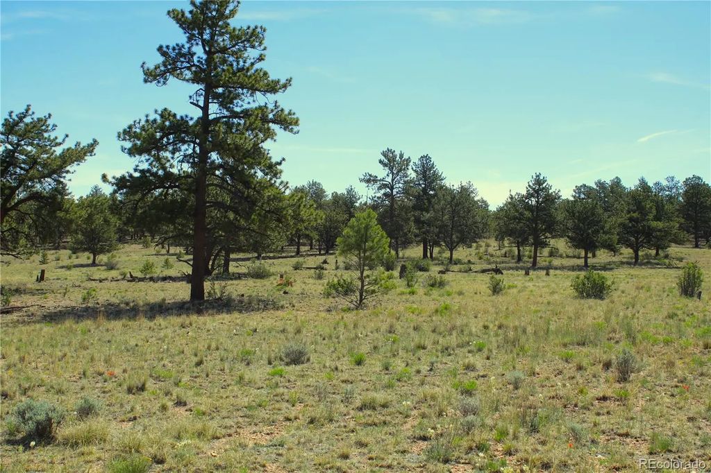31572 Highway 9, Fairplay