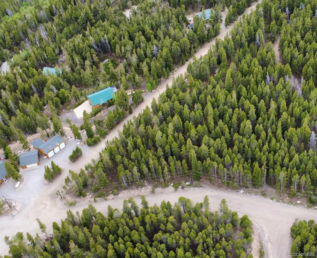 1090 Alice Road, Idaho Springs