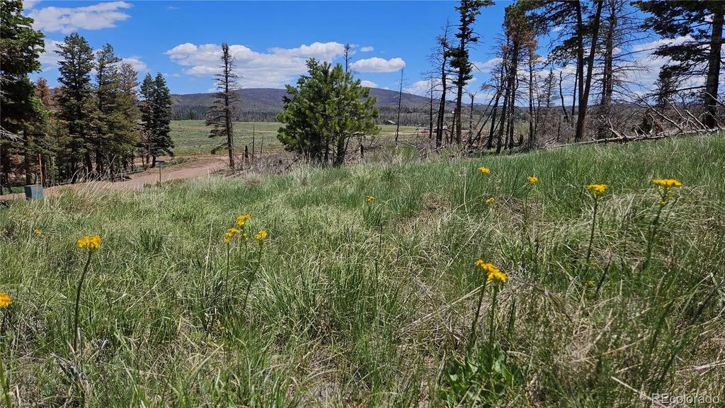 448 Wagon Mesa Loop, Fort Garland